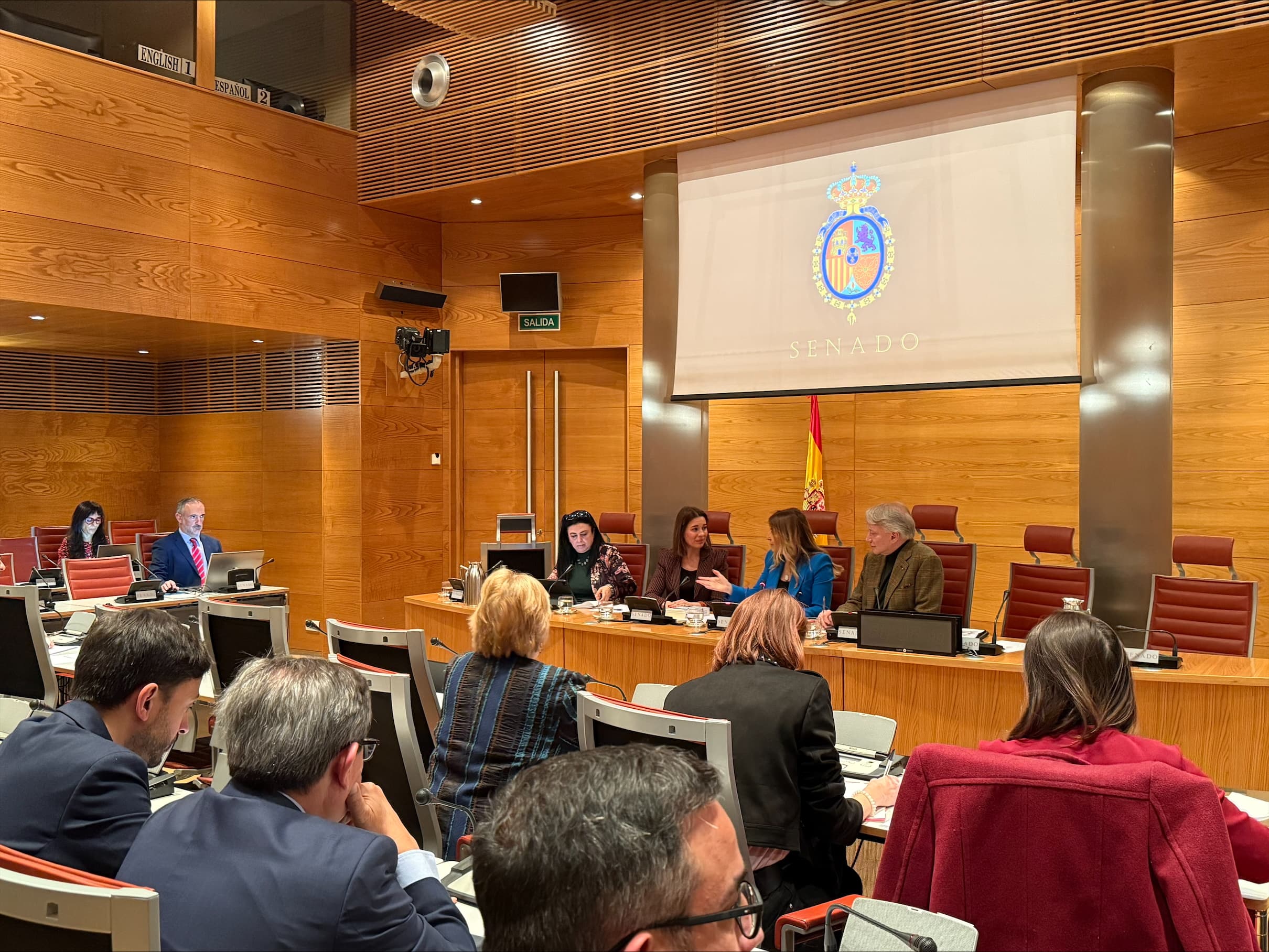 Mamás en Acción pide en el Senado medidas para impulsar el acogimiento familiar y una mesa de diálogo entre Gobierno, comunidades y tercer sector